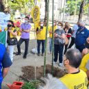 Os frutos das árvores que plantamos