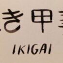 Ikigai – A Missão de Vida