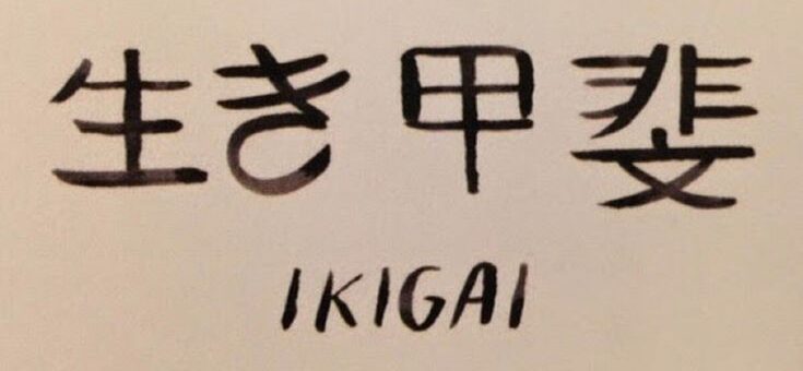 Ikigai – A Missão de Vida